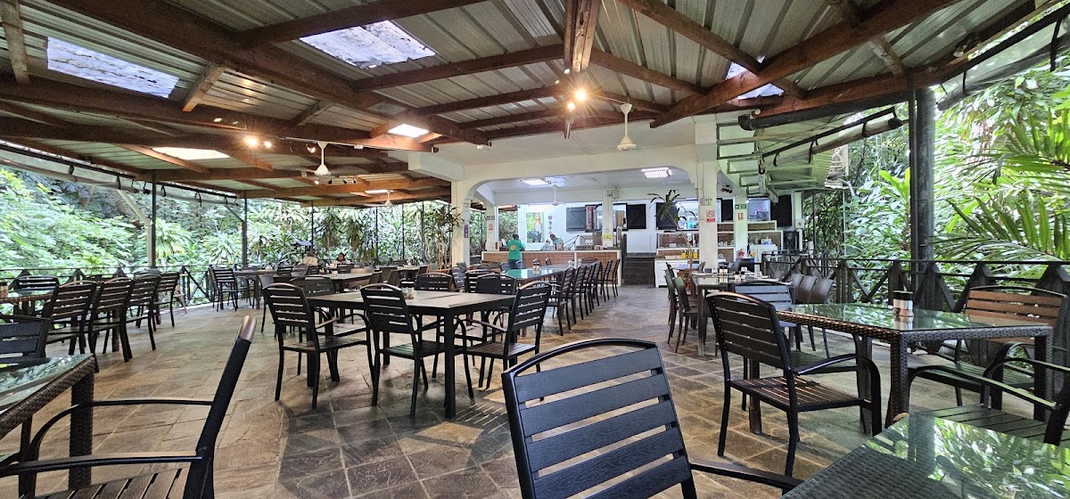 The Hungry Crocodile - Photo 1