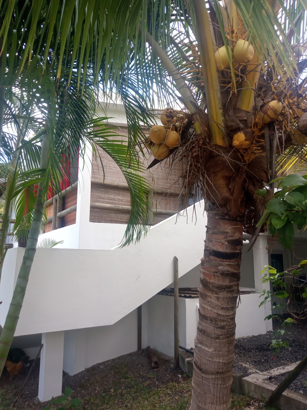 Villa De La Vallee - Photo 1