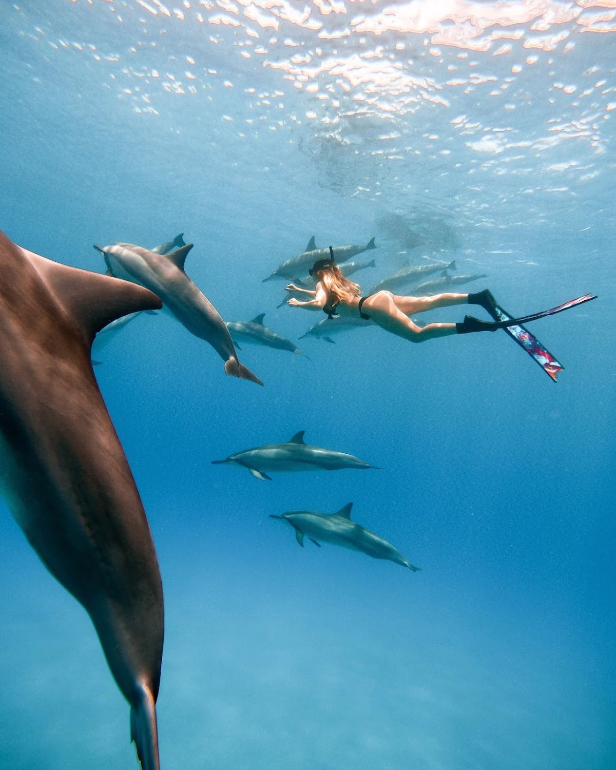 Vitamin Sea Mauritius - Photo 1