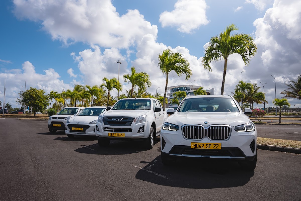 Pingouin Car Rental - Photo 1