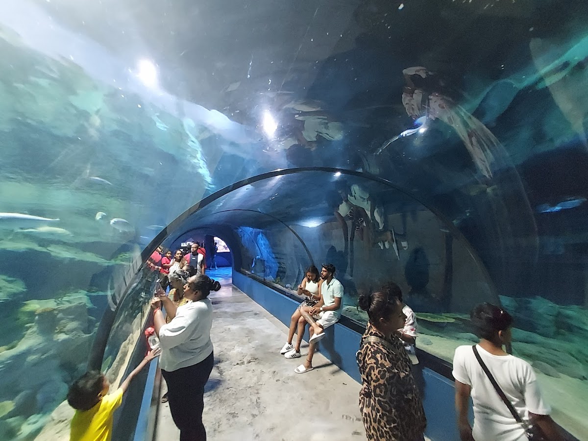 Mauritius Aquarium - Photo 1